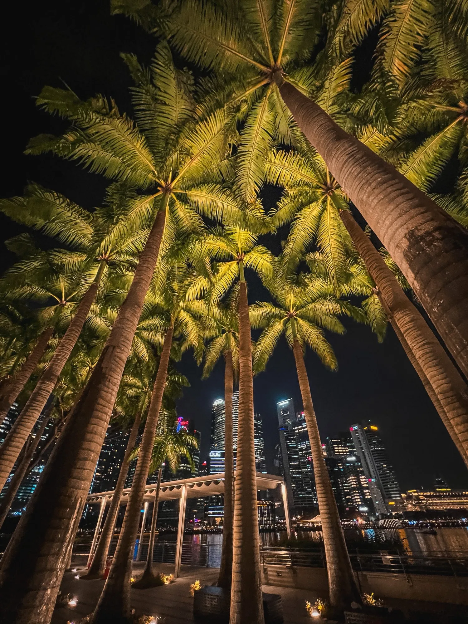 Marina bay
