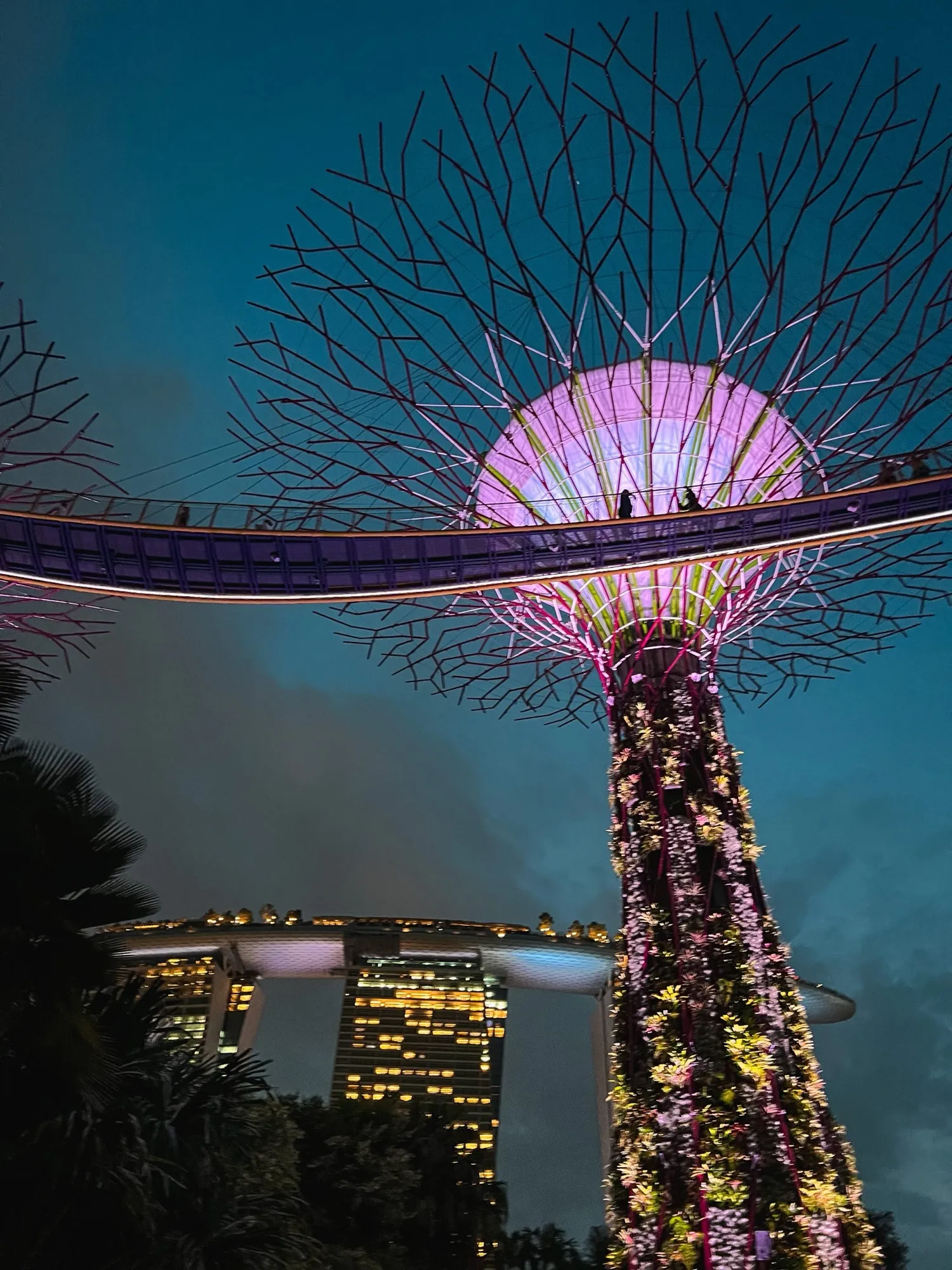 Gardens by the bay