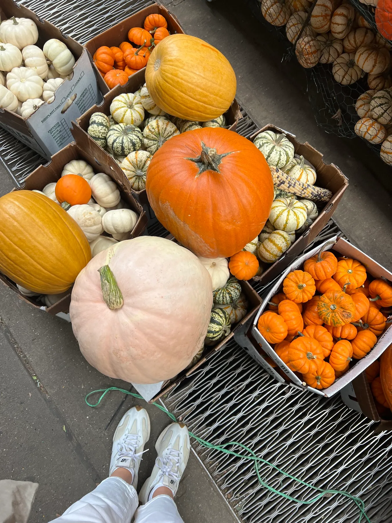 Calabazas de Halloween en una tienda de Chelsea