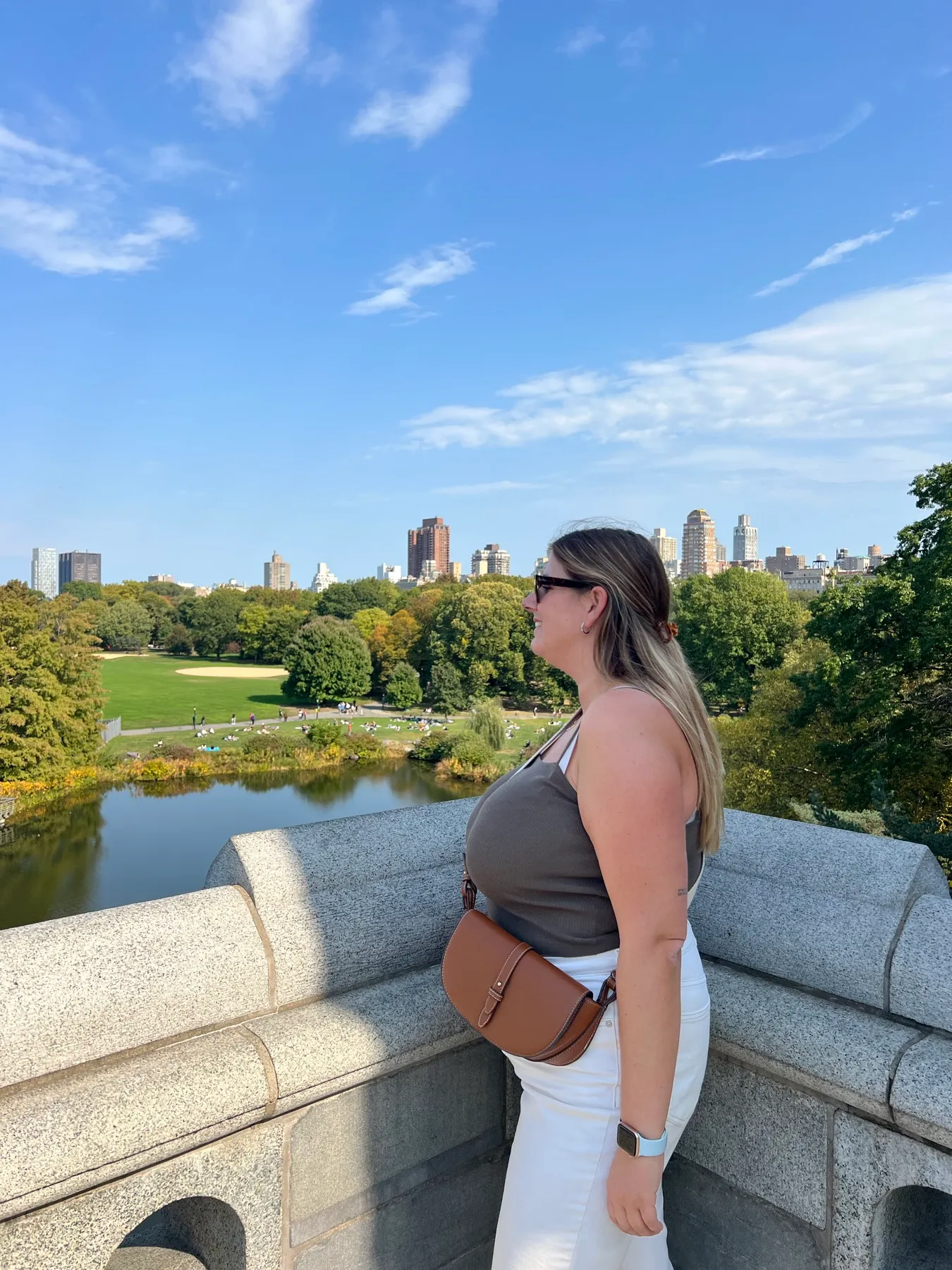 Vistas de Central Park desde el castillo Belvedere