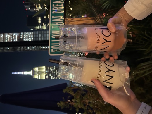 Cócteles en un rooftop de Nueva York